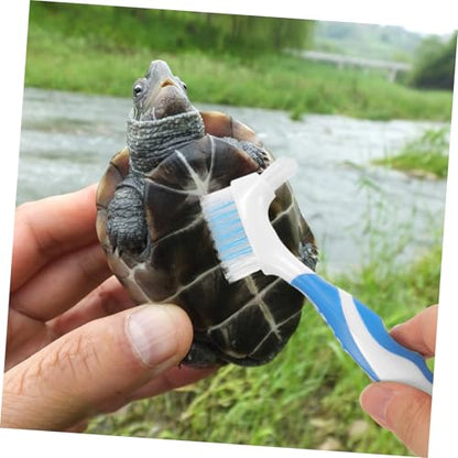 2pcs Bristles Double-Sided Brush Turtle Shell Clean Brush for Reptile Multi-Functional Home Cleaning Tool