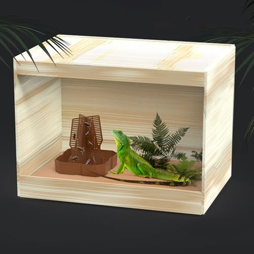 Reptiles Food Dish With AntiEscape Design For Bearded Dragons Geckoses Lizards Amphibians In Terrariums Habitats