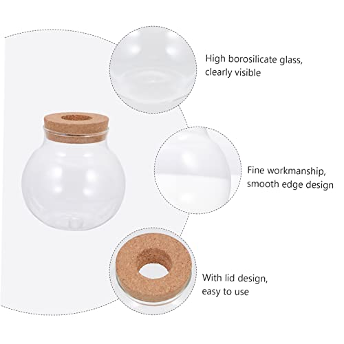 Abaodam Glass Terrarium for Plants Home Decoration Bottle Lid for Landscape Office Decor and Fish Keeping Container - size: 12X10X10CM