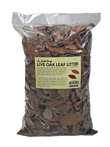 Josh's Frogs Organic Live Oak Leaf Litter, 1 Gallon/500 Leaves | USA Collected