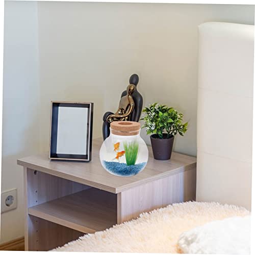 Abaodam Glass Fish Keeping Bottle Lid Transparent Desktop Terrarium for Landscape and Moss Plants Decor and Creative Idea - size: 17.00X14.50X14.50CM