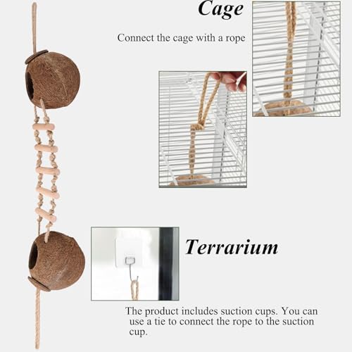 HERCOCCI Gecko Tank Accessories, Hermit Crab Toys Double Coconut Shell | Natural Coconut Husk Hut with Climbing Ladder with Suction Cup for Leopard Gecko Snake Reptiles