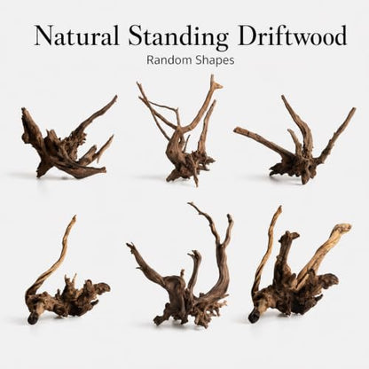 emours Natural Aquarium Driftwood, Upright Root Style Wood for Fish Tank Decor, Unique Driftwood for Aquascape, Terrarium and Reptile Display, 1 Piece (8-12" (20-30 cm)) - size: 8-12" (20-30 cm)