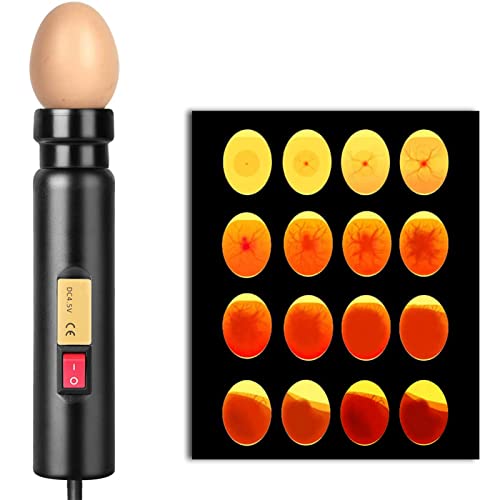 Egg Candler, LED Egg Hatching Test Light, High Intensity LED Chicken Egg Candler Mini Egg Tester Pen for Science Experiment Power by Battery & Power Supply