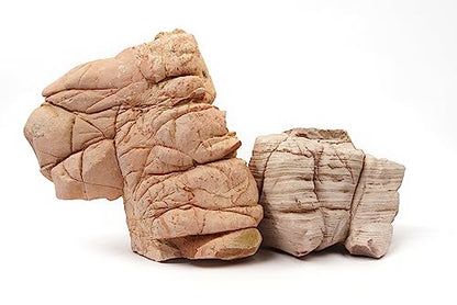 Elephant Skin Stone Natural Aquascaping Rock 18lb Planted Tank | Wrinkled texture; iwagumi, planted and terrarium - size: 11 Elephant Skin Stone(3-9 inches,18lbs)