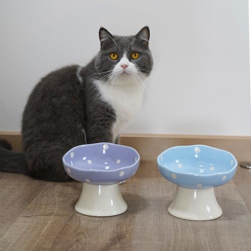 Blue Mushroom Cat Bowl, Elevated Ceramic Bowl for Cats | Cute Mushroom Design, Elevated, Ceramic, Whisker Friendly, Anti Vomiting - color: Blue