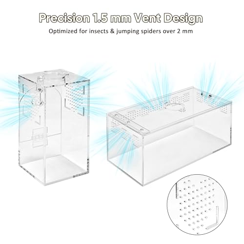 Jumping Spider Enclosure Set, Terrestrial Arboreal Combo, Acrylic Tarantula Terrarium, Praying Mantis Habitat, No Assembly, 2-Size Kit, Medium - size: Medium