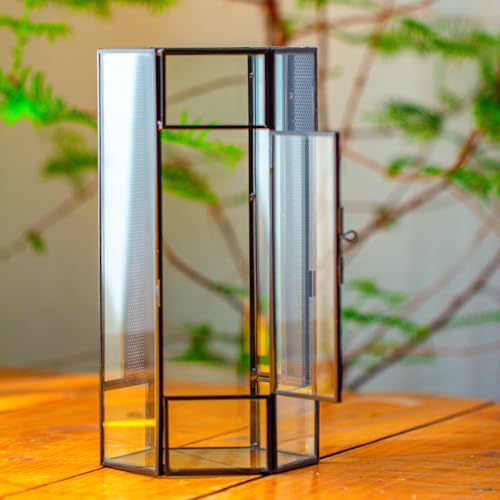 NCYP Small Glass Enclosure Terrarium with Mesh and Door for Spiders - Hexagon Shape Small Mantis Vented Glass Terrarium 4.9'' x 4.3'' x 9.4'', Tabletop Decor, Black (Plants Not Include)