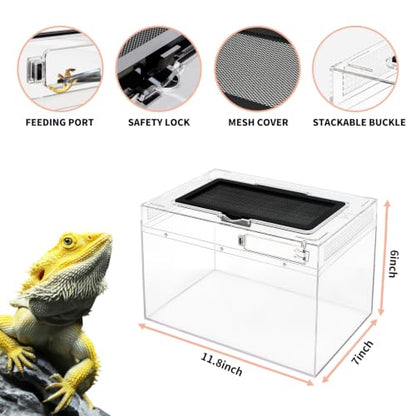 Mini Reptile Terrarium Set,11.8" x 7"x 6" Low Reptile Tank with Full View Visually Appealing，for Insect，Fish，Tarantula，Hermit Crab，Jumping Spider，Iguana，Tortoise，Leopard Gecko，Frog，Bearded Dragon - size: 11.8" x 7"x 6"