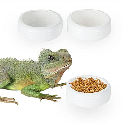 Reptile Food Bowls Ceramic Reptile Water Food Dish (White, Medium-2Pack)