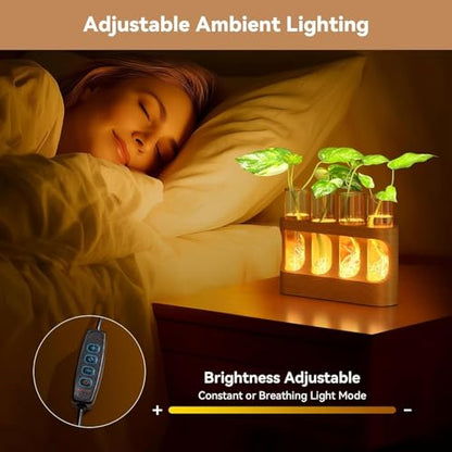 Plant Propagation Station with Wooden Stand, Gardening Gifts for Plant Lovers, 9-Level Dimmable LED Light 4 Glass Test Tubes Vases for Hydroponic Plants - Desktop Terrarium for Home Decor