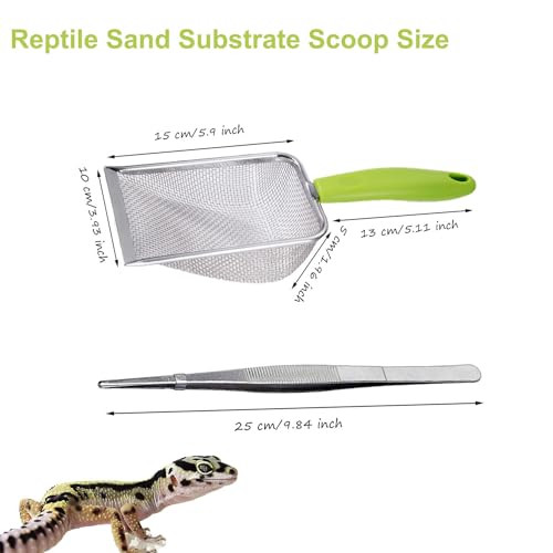 Reptile Sand Substrate Scoop Reptile Sand Fine Mesh Reptile Scooper Stainless Steel Terrarium Substrate Sand Bedding Litter Cleaner Scoop and Reptile Long Feeding Tongs Set (Green-2mm) | Stainless Steel 2mm Fine Mesh Reptile Scooper Terrarium Substrate Sa