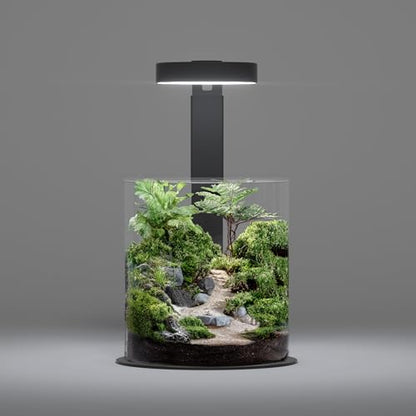 Miniature Terrarium Glass Jar Kit – Complete DIY Mini Landscape Set with Ultra-Clear Glass Container, LED Light, Decorative Stones & Planting Tools – Ideal for Home Decor, Gifts & Hobbyists