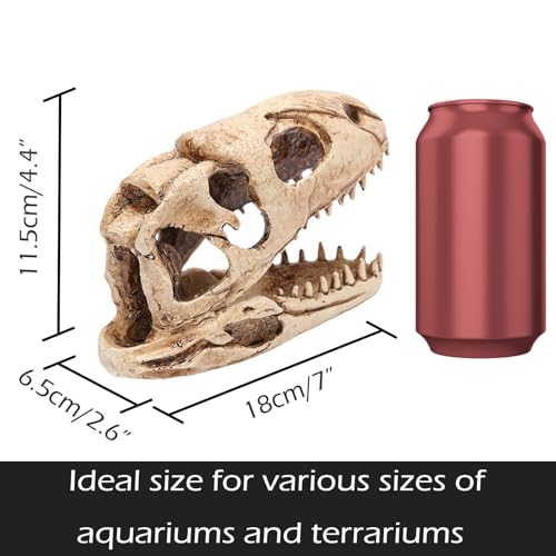 Dinosaur Animal Skull Aquarium Large Décor Cave Decorations Fish Hideout Tank Betta Tarantula Reptile Snake for Terrarium Decor Ornament Bones Halloween - color: Velociraptor
