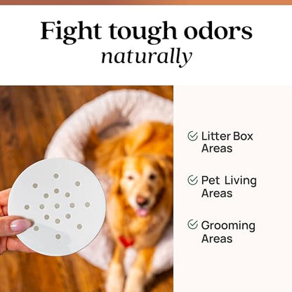 Azuna Pet Odor Eliminator for Strong Odor Gel | Pet Safe | 24oz Refill | Plant Powered | Dog and Cat Room Deodorizer | Pet Safe Air Fresheners for home | Cedarwood | Refill Only | Long Lasting - size: 24 Fl Oz (Pack of 1)