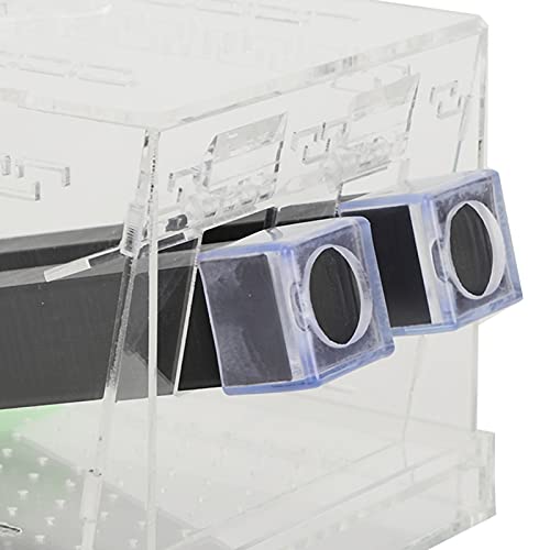 Cricket Keeper, Equipped with Water/Food Feeding Tub High Transparency Acrylic Material Cricket Keeper with Tubes Safe and Non- for Office for Home(L)