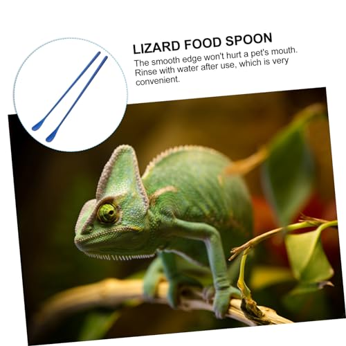 Mipcase 2pcs Reptile Food Feeding Spoon Long Handle for Small Animals Pet Food Scoop Gecko Lizard Feeding Tool - color: Blue