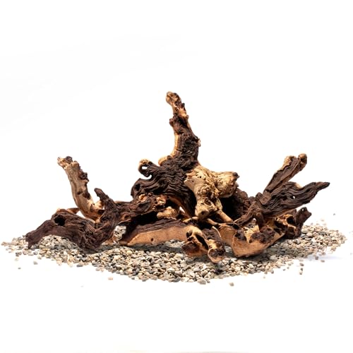 Ultum Nature Systems Driftwood - Mopani Wood - Natural Aquarium Hardscape for Planted Tank Aquascaping - Fish, Crab, Reptile, Bird, Paludarium Enclosure Structure, Terrarium Decor - SM 1Pc, 7-12" - size: 7-12" 1-Pack