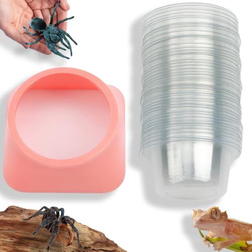 50 Pcs 0.5oz Spider Food and Water Feeding Cups Small Reptile Feeder Bowls with Base for Spider Snail Crab Insect