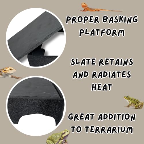Reptile Slate Basking Hide | Accessory Platform for Bearded Dragon, Turtle, Gecko, Snake | Natural Basking Slate | Made in USA (Black, Large) - size: Large