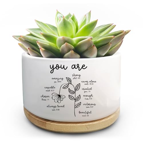 Christian Religious Gifts for Women, Succulent Plant Pot, Cactus Flower Planter Gifts, Inspirational Motivational Gifts for Women Friend, Plant Pots for Office Desk Table Shelf (No Plants) - color: Pots-you Are Amazing