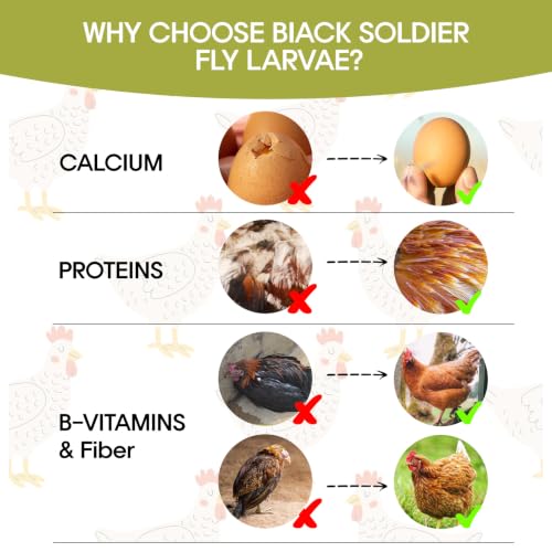 5LB Dried Black Soldier Fly Larvae for Chicken, Poultry, Wild Birds,No Additives, 100% Natural Non-GMO, More Calcium Chicken Treats Than Mealworms - size: 5 Pound (Pack of 1)