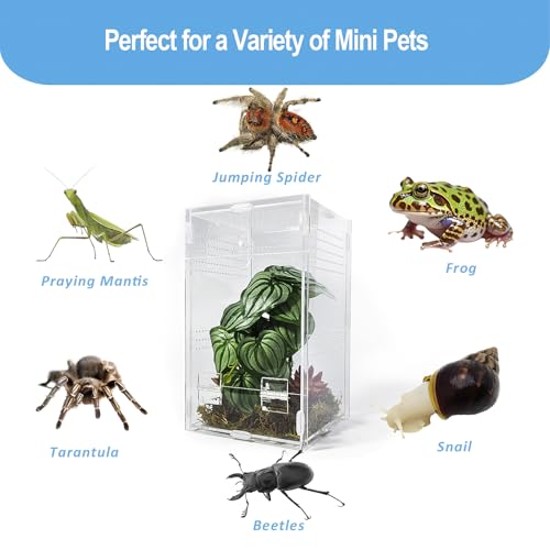 Jumping Spider Enclosure 6”x6”x10”, Arboreal Tarantula Enclosure, Praying Mantis Terrarium Critter Cage for Jumping Spider, Tarantula, Mantis, Snail, Isopods, Beetles, Millipedes - size: Large