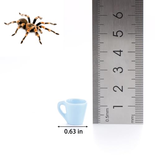 6 Pcs Tarantula Micro Water Bowl Spider Resin Feeding Bowl for Spider Tarantula Millipede Tiny Bugs Small Insects (Blue and Green)