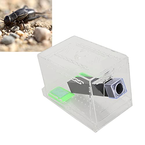 Acrylic Feeding Cricket Keeper, Cricket Keeper with Feces Layer Acrylic with Tubes for Observation of Breeding(S)