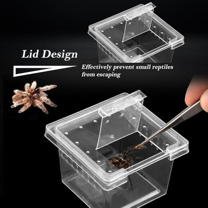 30 Pcs Insect Spider Terrariums Transparent Breeding Box Plastic Hatching Container for Tarantula Spider Scorpion Centipede Mantis