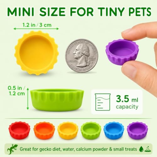 Meow&Woof Reusable Silicone Reptile Feeding Cups – Bearded Dragon Water Bowl & Crested Gecko Food Dish, Habitat Tank Starter Kit Accessories for Turtle, Snake, Hermit Crab- 6 Pcs - color: 6pcs
