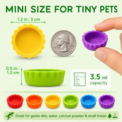 Meow&Woof Reusable Silicone Reptile Feeding Cups – Bearded Dragon Water Bowl & Crested Gecko Food Dish, Habitat Tank Starter Kit Accessories for Turtle, Snake, Hermit Crab- 6 Pcs - color: 6pcs