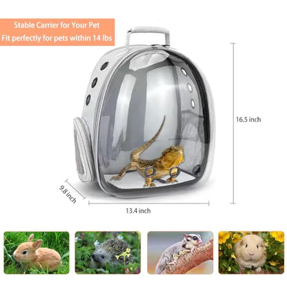 Bearded Dragon Carrier with Harness and Leash Small Pet Carrier | Large Reptile Backpack Bubble Window Portable Small Animal Carrier for Lizard Parrot Bird Rabbit Guinea Pig Travel Walking - color: Bearded Dragon Carrier