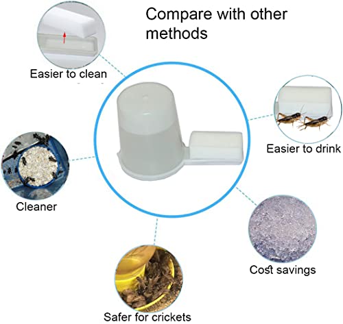 Auto Cricket Feeder & Keeper - Tube & Cup Feeding, Water Bottle & Crystals for Breeding