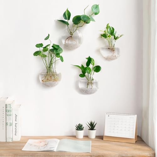 Mkono Wall Propagation Planters, 4 Pack Oblate Hanging Plant Holder Vase | Glass Terrariums Station, Hydroponic Indoor Flowers, Excludes Plants, Bathroom Living Room Office Decor, Gift for Plant Lover