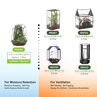 NCYP Closed Geometric Glass Enclosure with Front Opening Door & 2 Vent Holes for Insects, Snail, Moss, Fern - 7.9"x6.9"x9.8" Black Irregular Terrarium - Home Garden Tabletop Decor (No Plants)