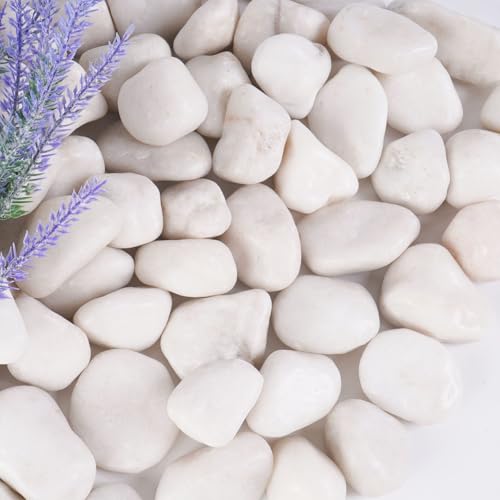 5 lbs White River Rocks, 1-2 inch White Landscaping Rocks,Suitable for Indoor and Outdoor Landscape Design, Gardens, Courtyards, Fish Tank Aquariums, Vases, Trail Decoration and DIY Decoration - color: White, size: 1-2 Inch 5 LB