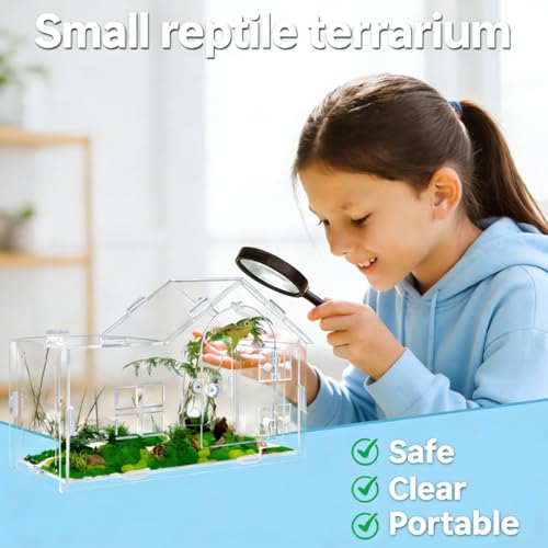 Jumping Spider Enclosure, Acrylic Habitat, 1 Pack | Secure Feeding Port & Ventilation, Ideal Treehouse for Arboreal Spiders, Easy-Clean Terrarium