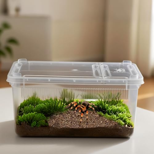 5 Pack Small Reptile Terrarium Breeding Box Transparent Hatching Container Plastic Feeding Box for Gecko Frog Spider Scorpion Centipede Insect
