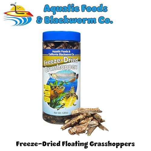 Grasshoppers, Freeze Dried Grasshoppers for Large Tropical Fish, Monster Fish, Reptiles, Turtles, Tortoises, Frogs, Hamsters, Birds, Rodents 2.3oz Canister - size: 2.3 Ounce (Pack of 1)