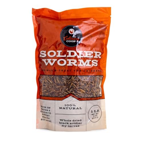Fluker's Culinary Coop Premium Chicken Treats, Dried Soldier Worms, Packed with Protein and Calcium, 100% Natural Rich Grubs for Chicken, Backyard Birds, and Reptiles, 16 oz - size: 1 pound (Pack of 1)