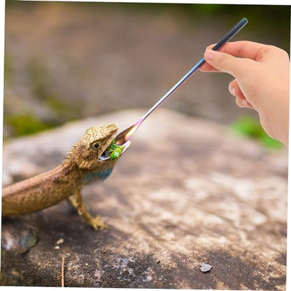 Toddmomy 2Pcs Stainless Steel Lizard Feeding Spoon Long Handle PET Food Scoop for Reptiles and Small Animals Sturdy and Easy to Use Feeding Tool