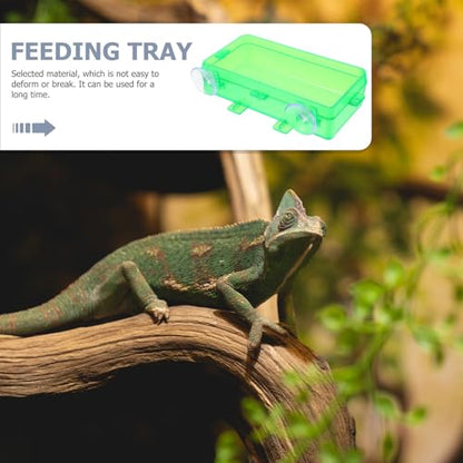 Toddmomy Escape-Proof Reptile Feeding Box and Reusable Lizard Food Dish, Small Green Reptile Water Bowl for Geckos, Bearded Dragons, and Lizards, 2pcs Set for Terrarium Use