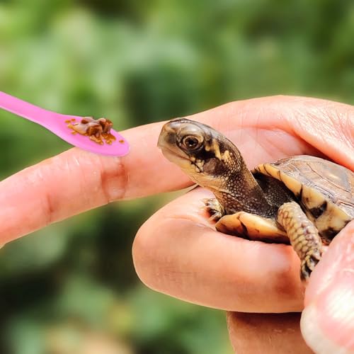 2 Pack Reptile Spoon, Crested Gecko Food Mixing Spoon Reptile Food Feeding Spoons Long Handle Fruit Mixing Stirring Feeding Tool for Dragon Gargoyle