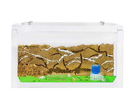 AntHouse - Natural Sand Ant Farm | 3D White Starter Kit 7.87 x 3.94 x 3.94 in - color: White