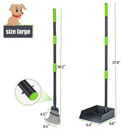 Pooper Scooper for Dogs, Metal Poop Scooper Tray and Rake Set with Adjustable Long Handle, Dog Pooper Scooper for Pet Waste Removal - color: Black & Green