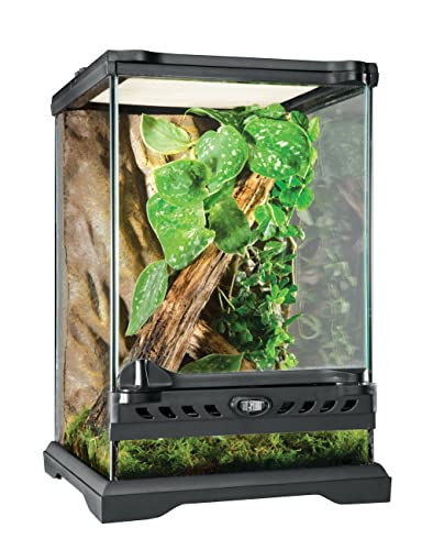 Exo Terra Glass Nano Terrarium Kit, 8 x 8 x 12 Inches | For Reptiles and Amphibians - size: 8 x 8 x 12 Inches