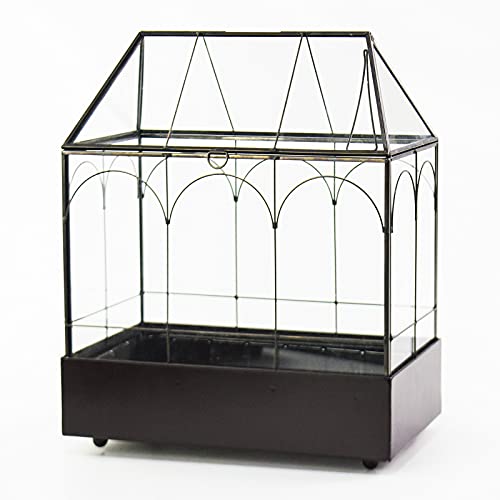 Large Tall Glass Plant Terrarium – House Succulent Terrarium Kit with Lip and Tray Glass Greenhouse Terrarium for Plant 9.5”X5.7”X11.4” - color: Black 3