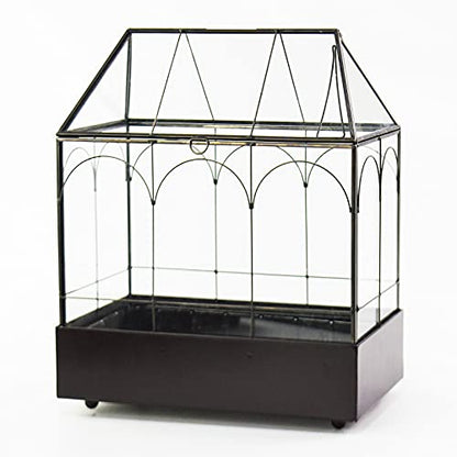 Large Tall Glass Plant Terrarium – House Succulent Terrarium Kit with Lip and Tray Glass Greenhouse Terrarium for Plant 9.5”X5.7”X11.4” - color: Black 3