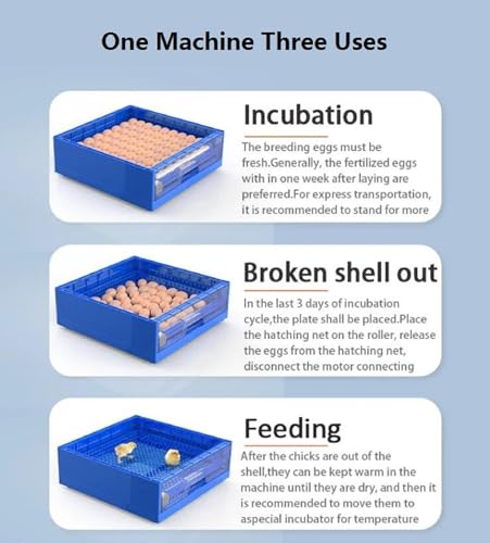 Generic Egg Incubator, LED High-Efficiency Automatic Egg Turning & Temperature Control, Automatic Incubator for Hatching Eggs, for Hatching Chicken Duck Quail Eggs, 256 Eggs, Blue